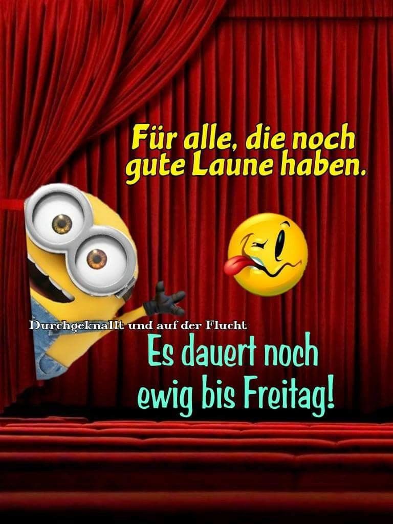 Schönen sonntag minions