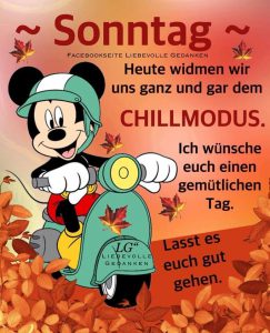 Schönen sonntag pferde