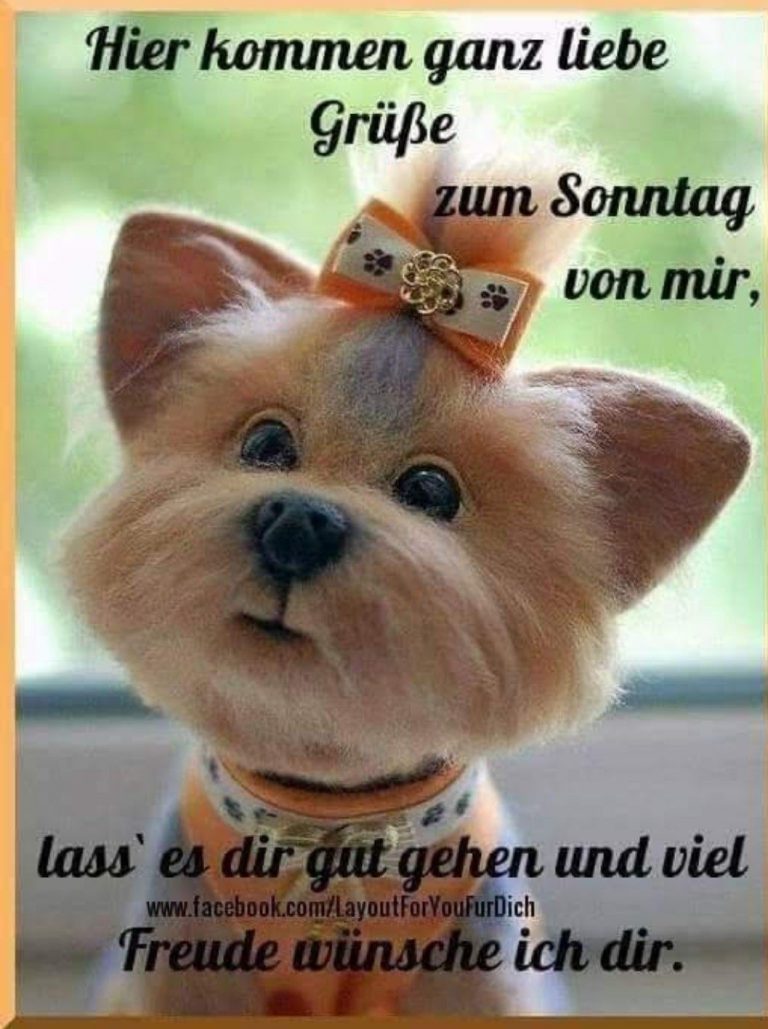 Schönen sonntag sonntag