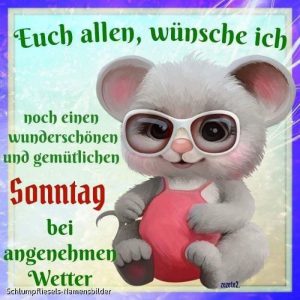Schönen sonntag video whatsapp fürs Handy Bilder und Sprüche