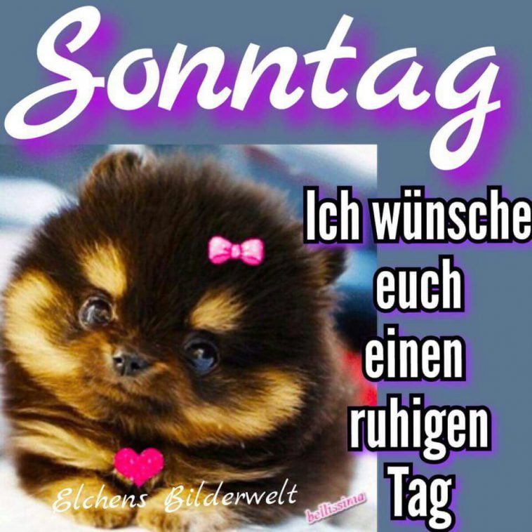 Herbst sonntagsgrüße schönen sonntag Bilder und Sprüche für Whatsapp