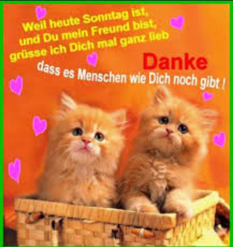Sonntag morgen lustig 768x814 - Sonntag morgen lustig
