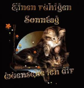 Sonntagsgruß schönen sonntag bilder gratis fürs Handy bilder fürs handy