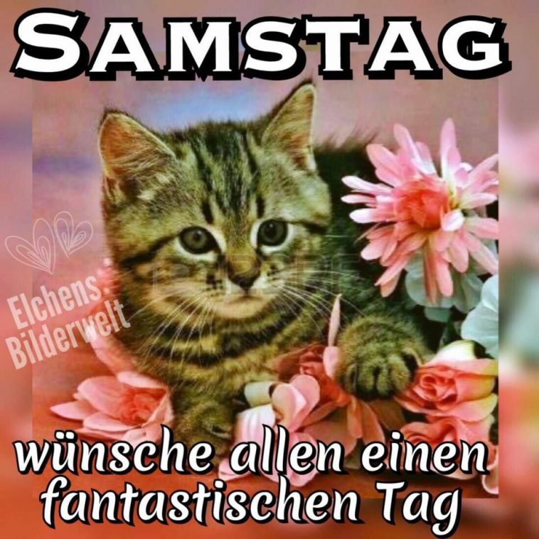 Guten samstag bilder gif Bilder und Sprüche