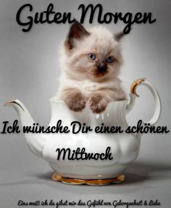 Spruch schönen mittwoch