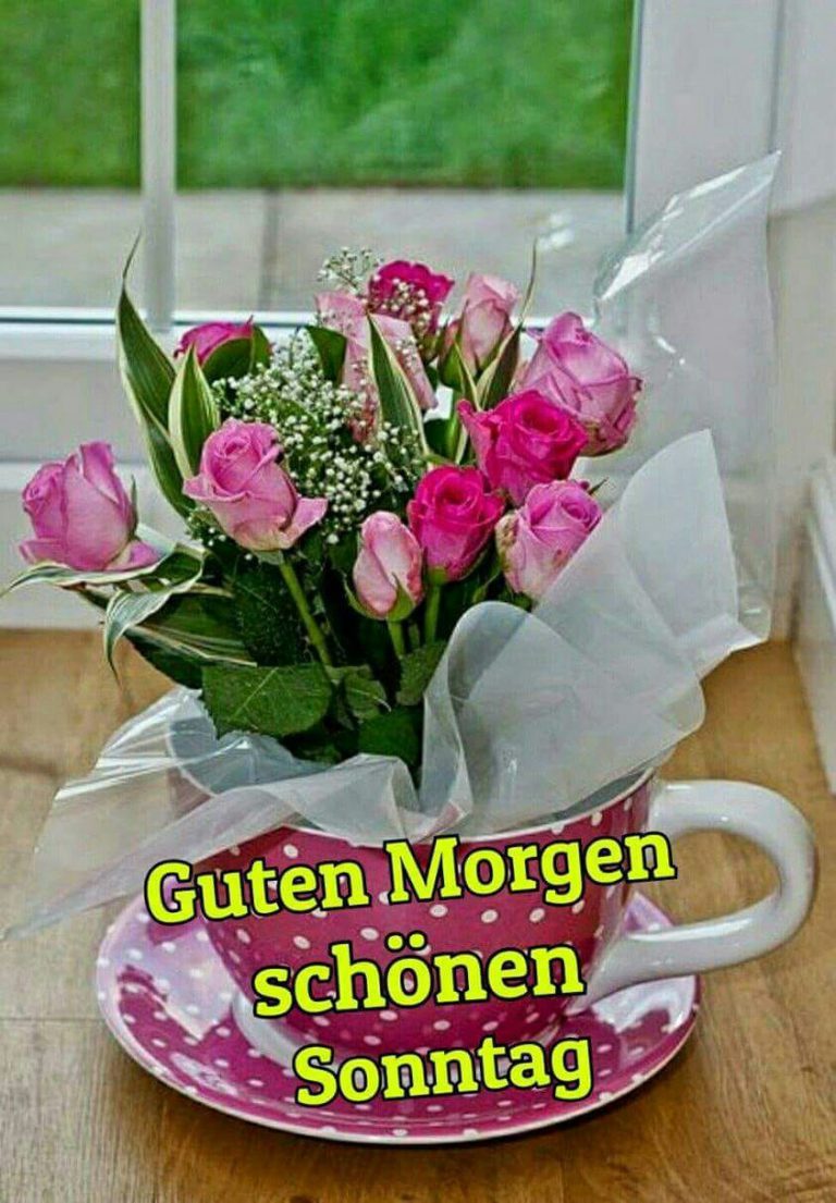 Spruch sonntag lustig