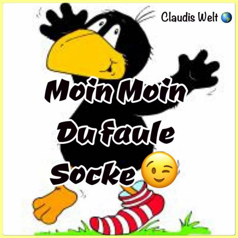 Spruchbilder guten morgen