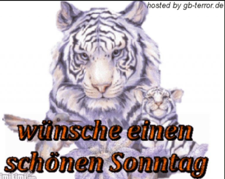 Sprüche zum sonntag lustig