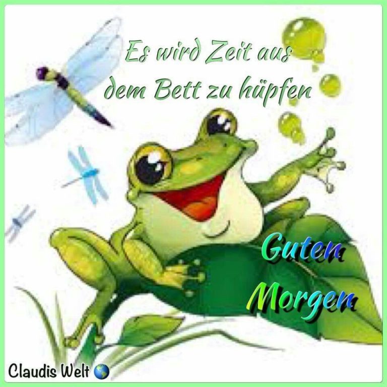 Suche guten morgen bilder