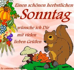 Super schönen sonntag fürs Handy bilder fürs handy