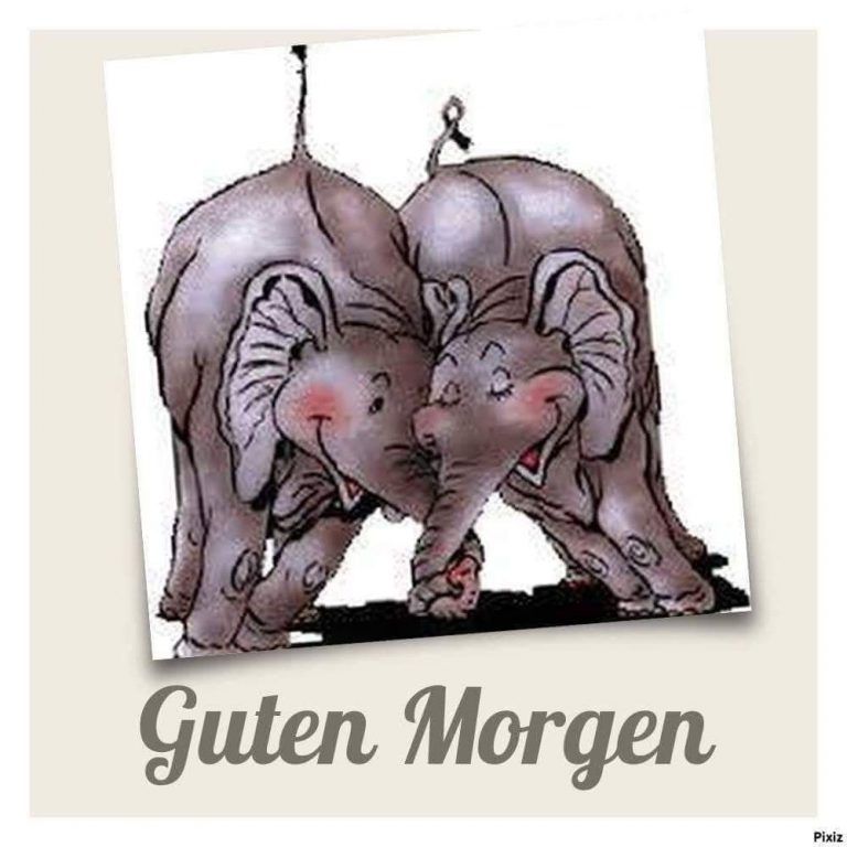 Süße guten morgen bilder