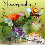 Süße guten grüße Bilder und Sprüche