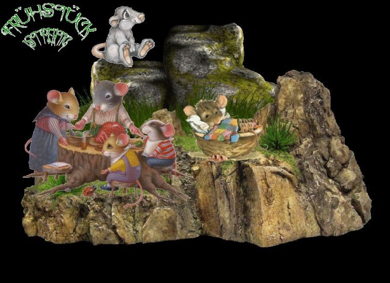 Translate guten Bilder und Sprüche