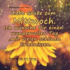 Verrückter mittwoch bilder fürs handy