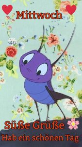 Wunderschönen mittwoch lustig bilder fürs handy