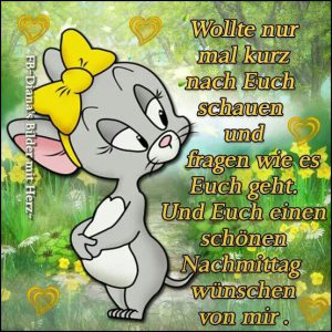 Antenne Niedersachsen Whatsapp Nachmittags