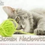 Bilder F%C3%BCr Sch%C3%B6nen Nachmittags 150x150 - Bilder Für Grüße Nachmittags