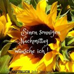 Bilder Sch%C3%B6nen Tag Nachmittags 150x150 - Schönen Gif Nachmittags