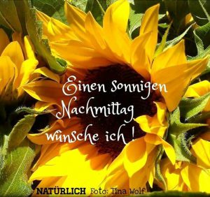 Bilder Schönen Tag Nachmittags