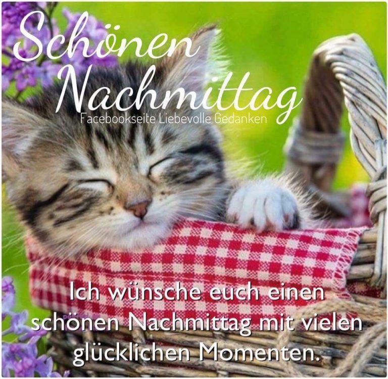 Bilder Zum Nachmittags