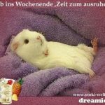 Bilder ein sch%C3%B6nes wochenende 150x150 - Schönes wochenende lustige bilder