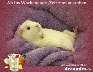 Bilder ein schönes wochenende bilder fürs handy