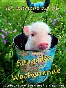 Bilder für wochenende bilder fürs handy