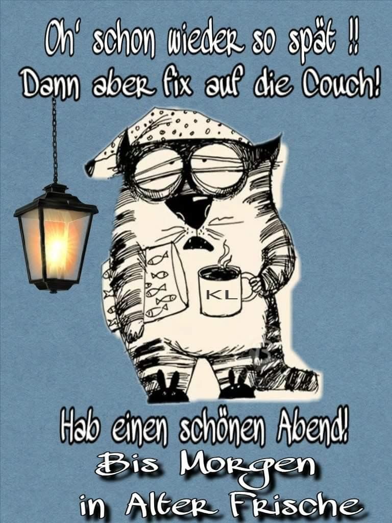 Bilder lustig gute nacht