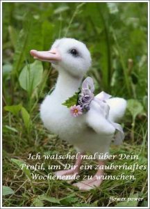 Bilder und sprüche zum wochenende kostenlos bilder fürs handy