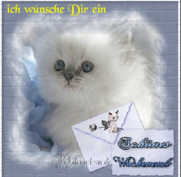 Bilder zu schönes wochenende