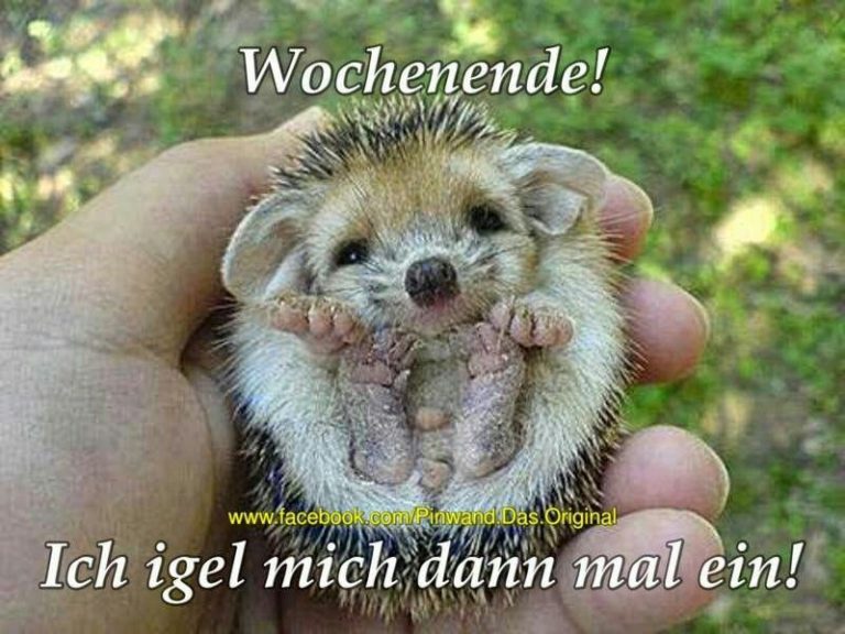Bilder zu wochenende