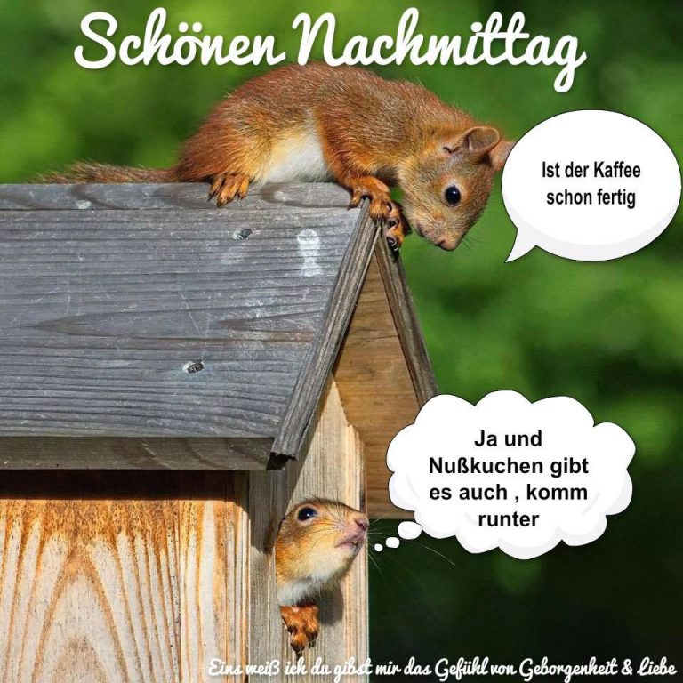 Blingee Guten Morgen Bilder Nachmittags