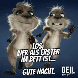 Bärchen gute nacht