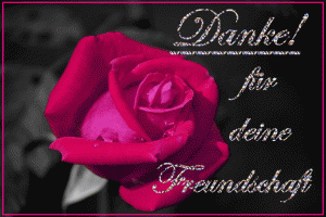 Danke bilder lustig kostenlos gif Bilder und Sprüche