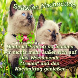 Ein Schöner Tag Nachmittags