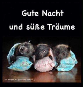 Eine wunderschöne gute nacht