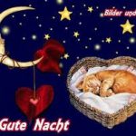 Eule gute nacht 150x150 - Süße gute nacht sprüche für verliebte