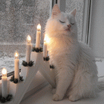 Foto Weihnachten Kostenlos Animierte Gif 150x150 - Bilder Für Weihnachten Zum Ausdrucken Animierte Gif