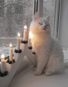 Foto Weihnachten Kostenlos Animierte Gif