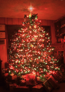 Fotos Für Weihnachtskarten Animierte Gif