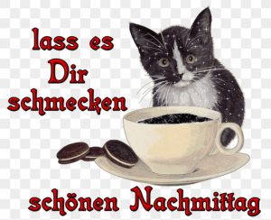 Freitagsgrüße Bilder Lustig Nachmittags