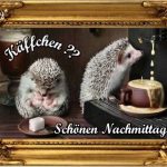 Gr%C3%BC%C3%9Fe Nachmittags 150x150 - Niedliche Bilder Nachmittags