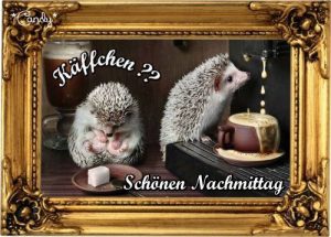 Grüße Nachmittags