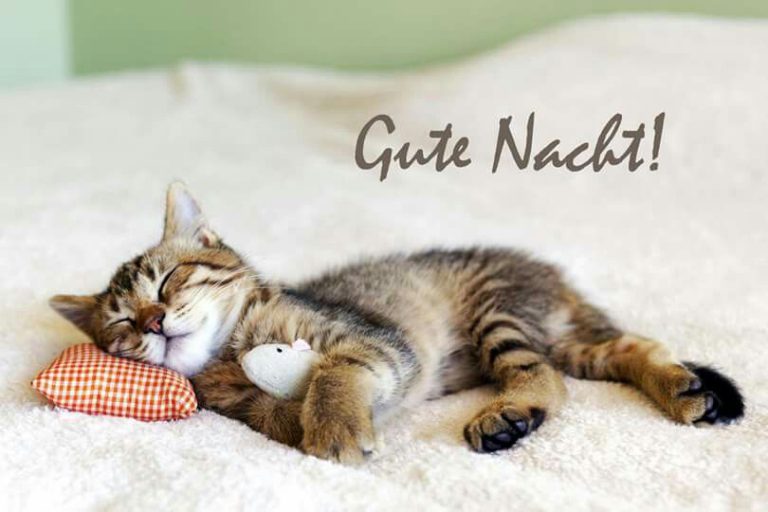 Gute nacht comic