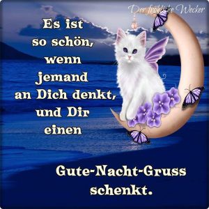 Gute nacht geschichte hören gratis
