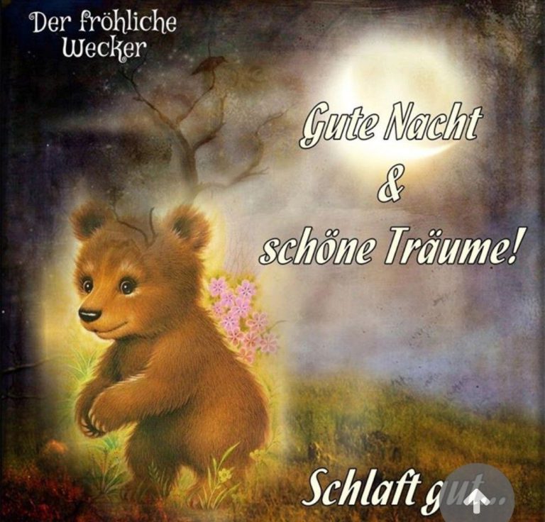 Gute nacht geschichten buch