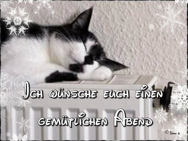 Gute nacht meine süße Bilder und Sprüche