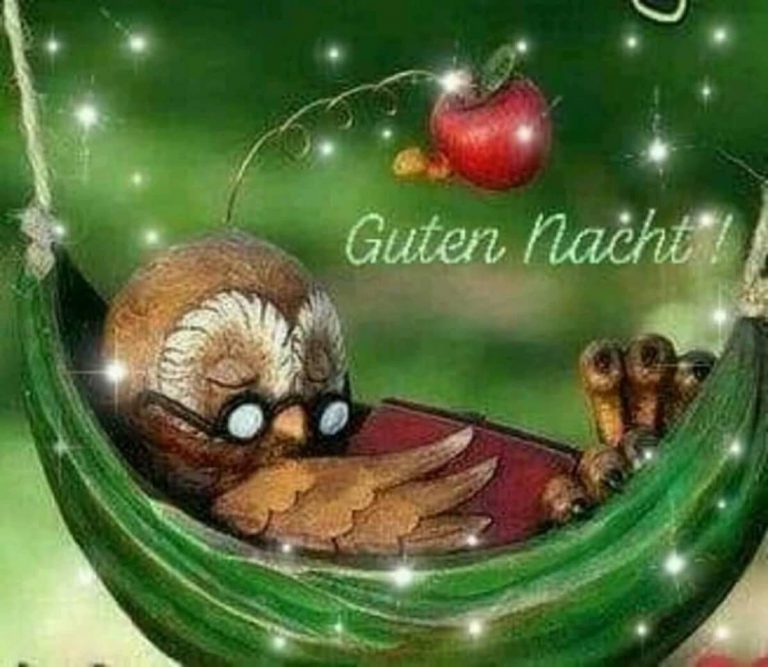 Gute nacht märchen