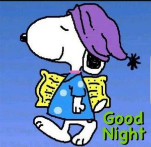 Gute nacht sprüche sms 300x292 - Schöne gute nacht bilder Animierte Gif