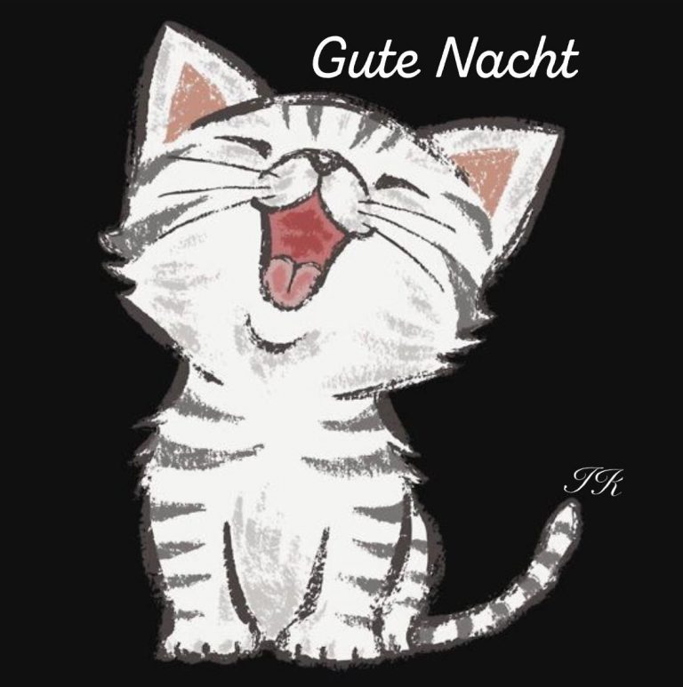Gute nacht animierte gifs Bilder und Sprüche für Whatsapp und